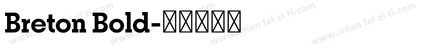Breton Bold字体转换